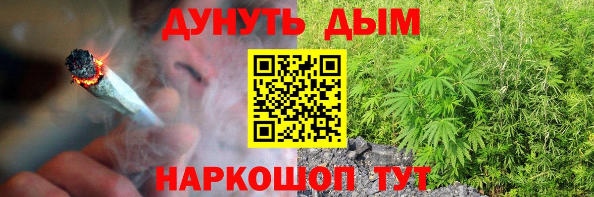 Каннабис конопля Черняховск